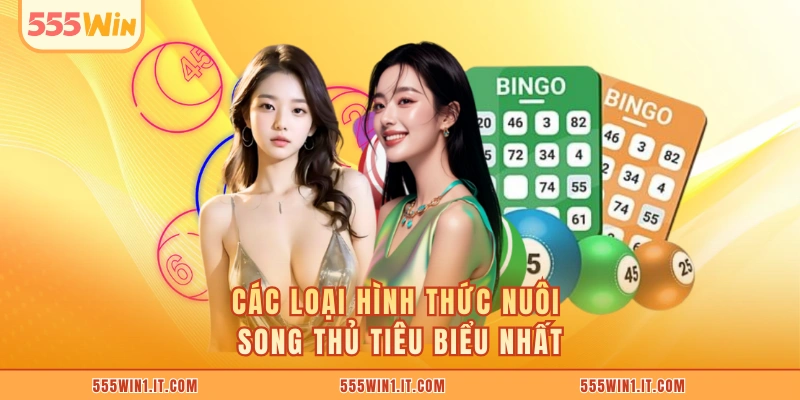 Song Thủ Lô Là Gì? 5 Bí Quyết Nuôi Số An Toàn Dễ Trúng Các loại hình thức nuôi song thủ tiêu biểu nhất