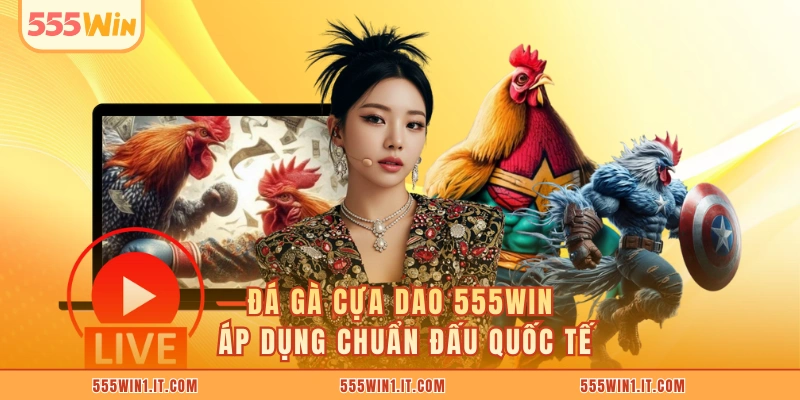 Đá Gà Cựa Dao 555WIN - Cược Nhanh Tay Nhận Thưởng Cực Đã Đá gà cựa dao 555WIN áp dụng chuẩn đấu quốc tế