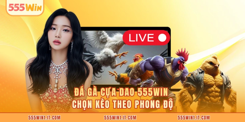 Đá Gà Cựa Dao 555WIN - Cược Nhanh Tay Nhận Thưởng Cực Đã Đá gà cựa dao 555WIN chọn kèo theo phong độ