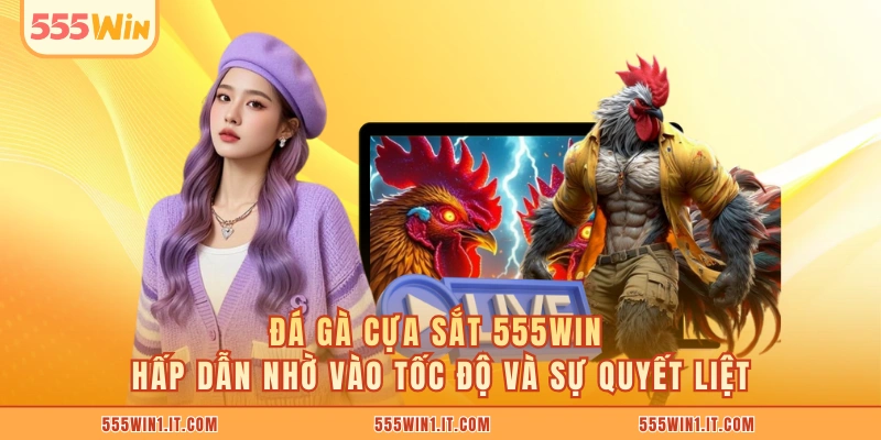 Đá gà cựa sắt 555WIN hấp dẫn nhờ vào tốc độ và sự quyết liệt