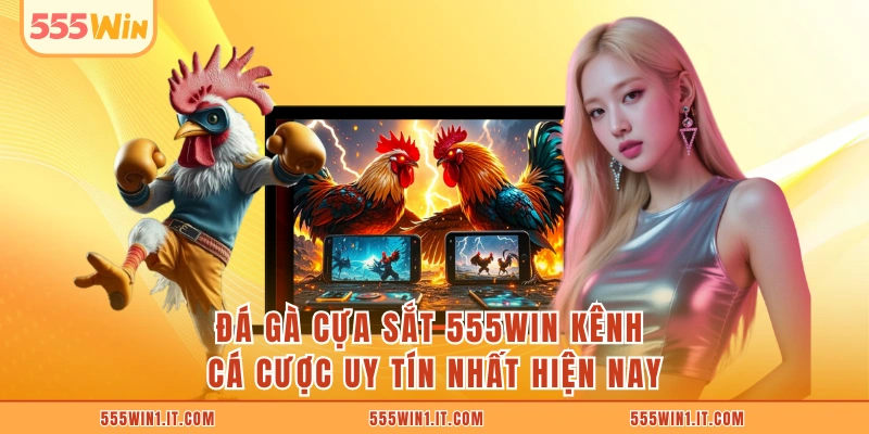 Đá Gà Cựa Sắt 555WIN Kênh Cá Cược Uy Tín Nhất Hiện Nay Đá Gà Cựa Sắt 555WIN