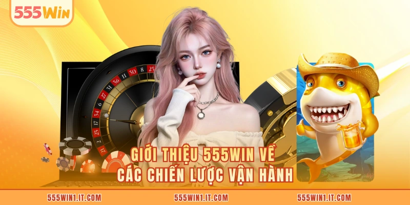 Giới thiệu 555WIN về các chiến lược vận hành