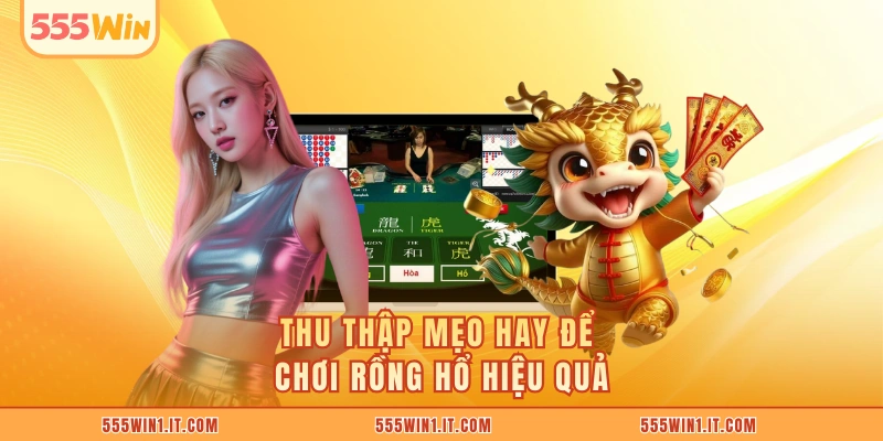 Rồng Hổ 555WIN - Game Bài Chiến Thuật Đề Cao Tính Tư Duy Thu thập mẹo hay để chơi Rồng Hổ hiệu quả