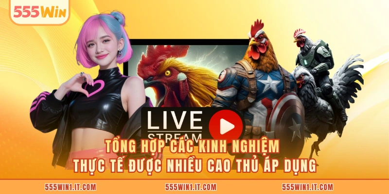 Tổng hợp các kinh nghiệm thực tế được nhiều cao thủ áp dụng